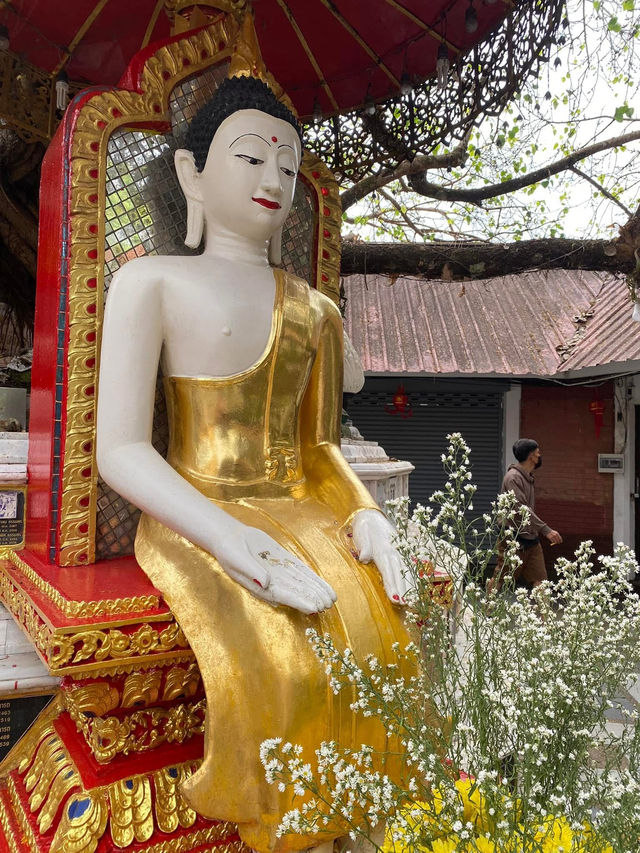 泰國🇹🇭清邁 此生看過最金光閃閃的寺廟｜素帖寺 雙龍寺