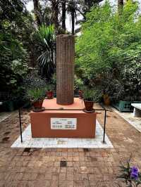 A Colorful Oasis at Le Jardin Majorelle in Marrakesh, Marrakesh-Safi