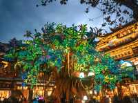 Lantern Festival