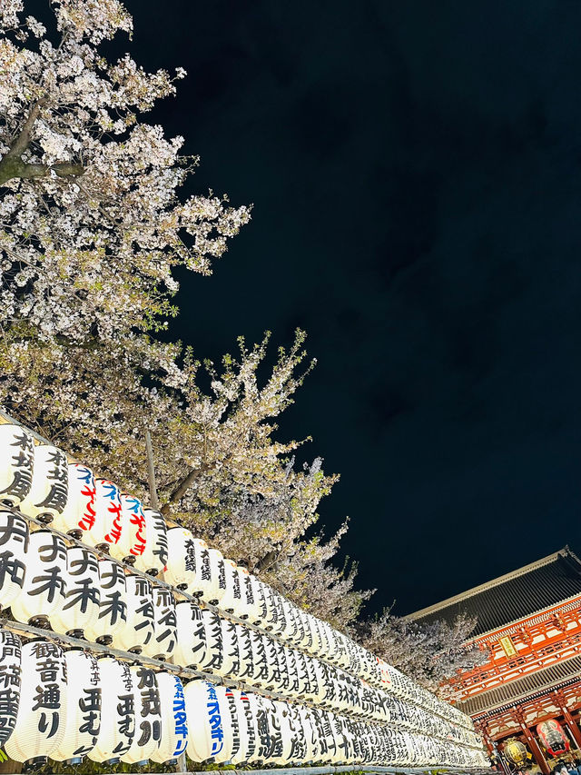 Tokyo Sakura Blossom Season Tokyo Sakura Blossom Season