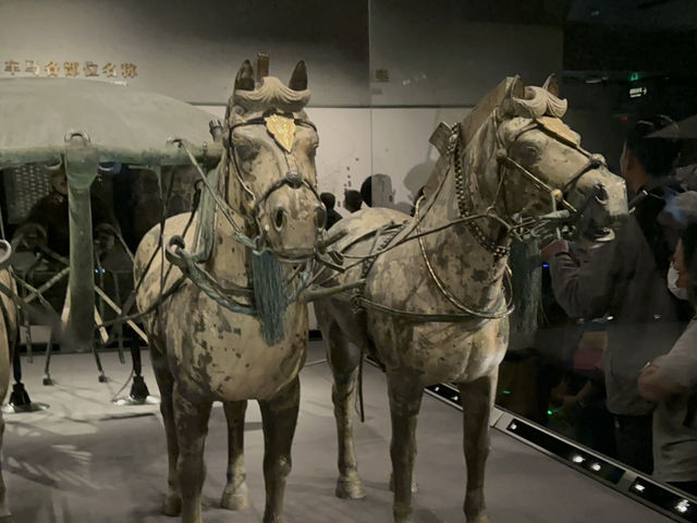 全世界人都想看的兵馬俑