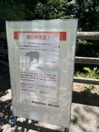 【秋日限定】淺間公園的夢幻畫面