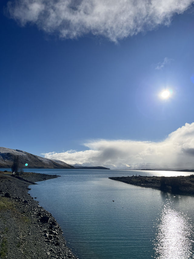 瓦納卡之樹打卡靚景🌳 瓦納卡之樹打卡靚景🌳