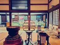 Zen & Symmetry: My Solo Visit to Zuiryūji, Takaoka