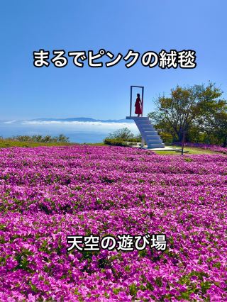 Shiga ❤︎ Spots you should visit this fall ♡