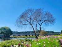 Jeolla Park
