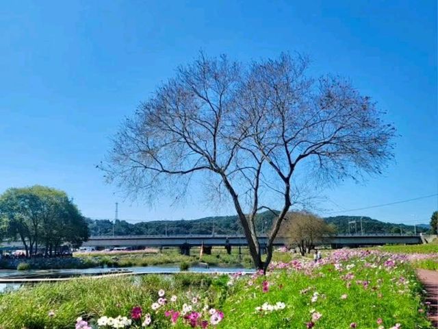Jeolla Park