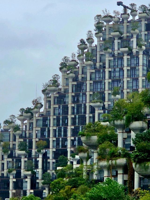 Tian An 1,000 Trees
