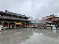 🏵️ ดอกฮิกังบานะเบ่งบานกลางซีอานที่วัด Daxingshan