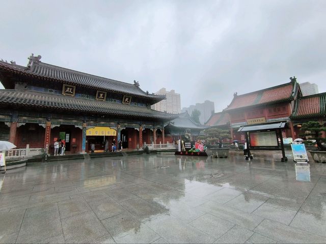 🏵️ ดอกฮิกังบานะเบ่งบานกลางซีอานที่วัด Daxingshan