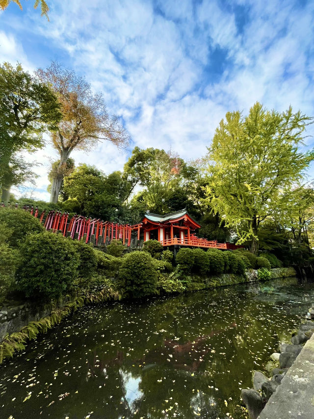 真っ赤な鳥居と黄色のイチョウのコントラストが絶景