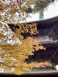 🍁 Autumn Serenity at Gotokuji Temple