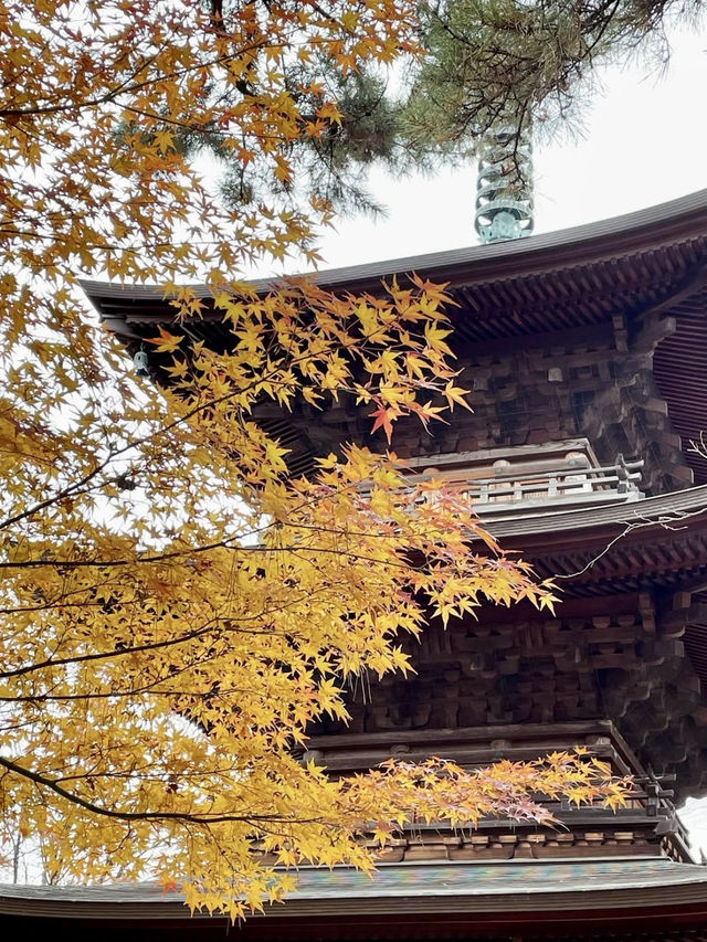 🍁 Autumn Serenity at Gotokuji Temple