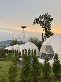 Moon Camp Khaoyai น้องหมาเข้าพักได้🐶
