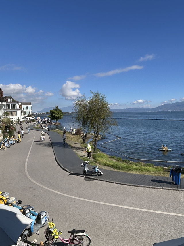 Erhai Lake Loop🚲