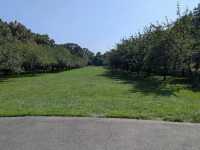 Brooklyn Botanic Garden