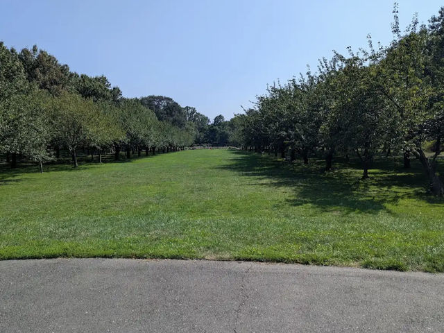 Brooklyn Botanic Garden