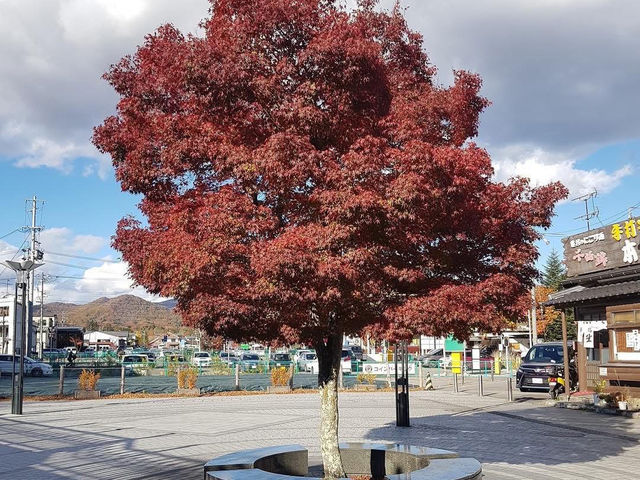 🍁ฤดูใบไม้เปลี่ยนสีที่ Karuizawa-machi 🍁ฤดูใบไม้เปลี่ยนสีที่ Karuizawa-machi