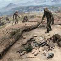 Landesmuseum Hannover – A Grand Showcase of Art, Nature, and Culture