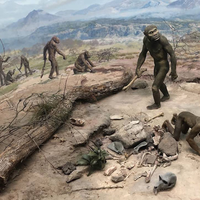 Landesmuseum Hannover – A Grand Showcase of Art, Nature, and Culture