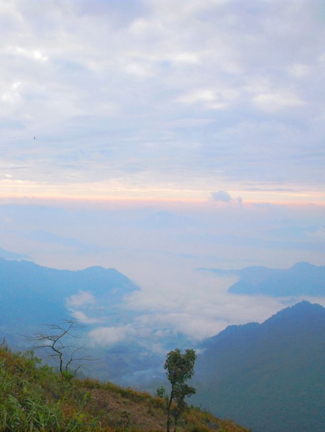 🌄 : อุทยานแห่งชาติ ภูชี้ฟ้า เที่ยวเชียงราย