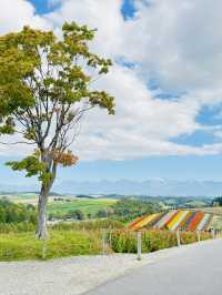 秋の先取り北海道旅行レビュー