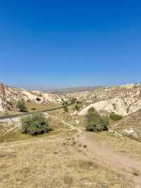 반나절로 다니기 좋은 투어