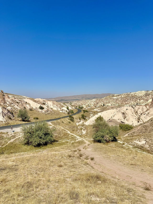 반나절로 다니기 좋은 투어
