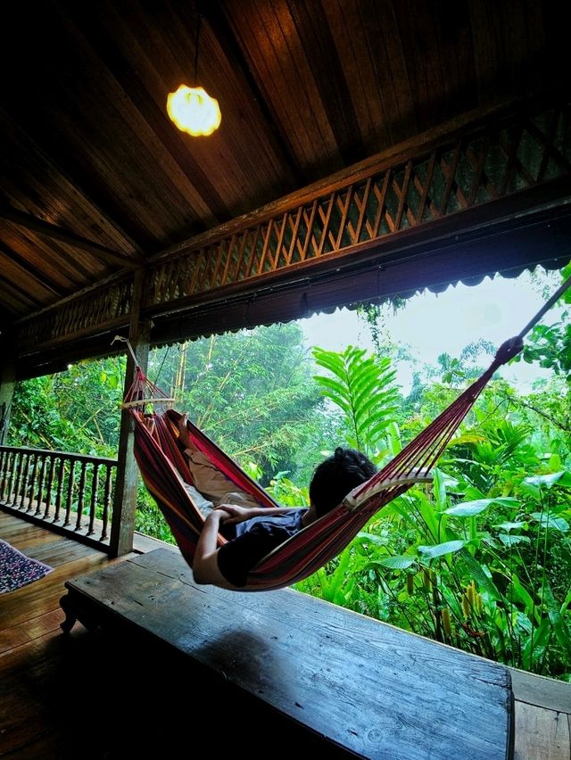 Unplug & Unwind: My Open-Air Stay in Hulu Langat Unplug & Unwind: My Open-Air Stay in Hulu Langat