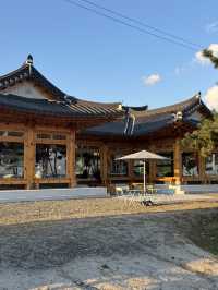 ๐ ํ๊ฐ์์ ๊ณ ์ฆ๋ํ ๋ฐ๋ค ๋ง์ โ ๊ฒฝ์ฃผ ์๋จ๋ฉด ์ถ์์ฌํ ๊ฐ์ด๋