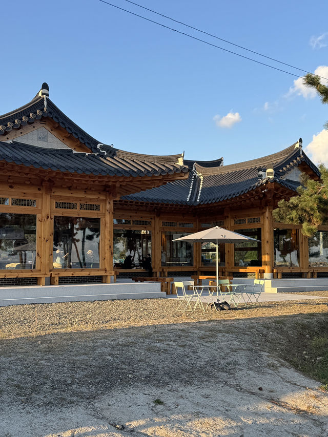 ๐ ํ๊ฐ์์ ๊ณ ์ฆ๋ํ ๋ฐ๋ค ๋ง์ โ ๊ฒฝ์ฃผ ์๋จ๋ฉด ์ถ์์ฌํ ๊ฐ์ด๋ ๐ ํ๊ฐ์์ ๊ณ ์ฆ๋ํ ๋ฐ๋ค ๋ง์ โ ๊ฒฝ์ฃผ ์๋จ๋ฉด ์ถ์์ฌํ ๊ฐ์ด๋