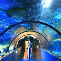 日本北海道 - 函館百萬夜景,小樽運河,洞爺湖,夢幻的國度