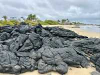 Isla Isabela Discover Untamed Beauty