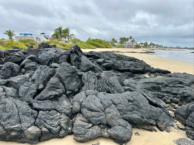 Isla Isabela Discover Untamed Beauty Isla Isabela Discover Untamed Beauty