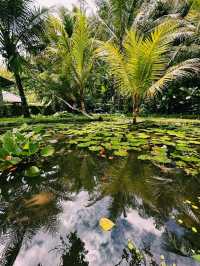 Tirta Empul: Sacred Serenity in Bali 🌿💧