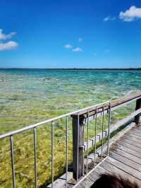 Lake Clifton Thrombolites: Earth's Ancient Life Forms