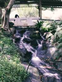 《台北竟然藏著這座東方古典秘境：至善園》