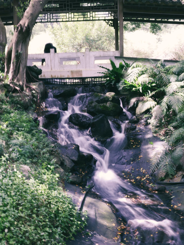 《台北竟然藏著這座東方古典秘境：至善園》