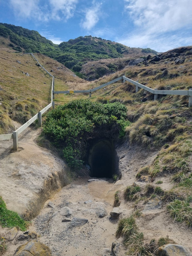 Duendin 의 Tunnel Beach🌊