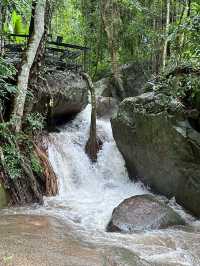 Ted du coffee @แม่กำปอง