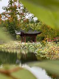 Tranquil, serene park that captures my heart!