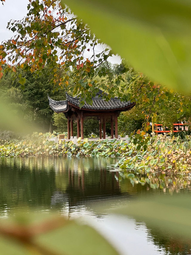 Tranquil, serene park that captures my heart! Tranquil, serene park that captures my heart!