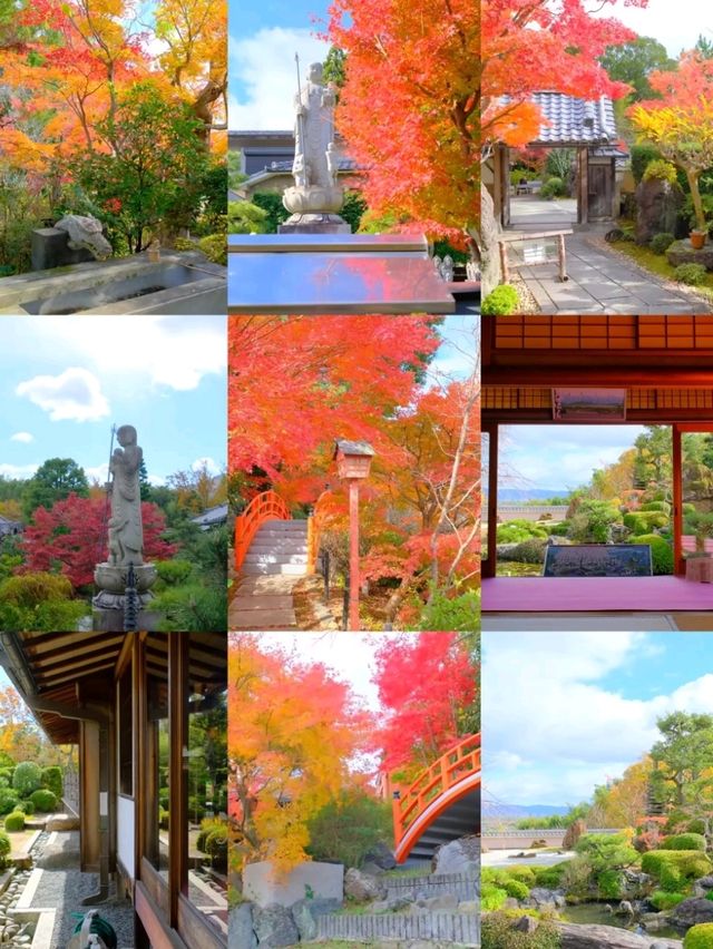 京都小眾賞楓秘境|正法寺禪意紅葉之旅🍁 京都小眾賞楓秘境|正法寺禪意紅葉之旅🍁