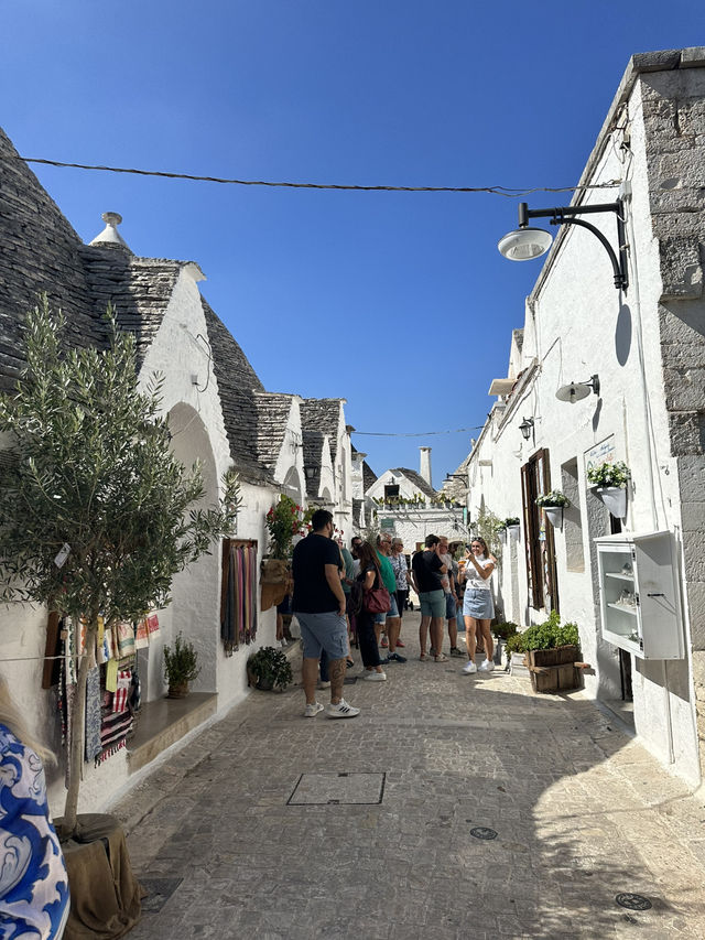 🏡 蘑菇村 Alberobello｜聯合國文化遺產 童話小鎮必打卡