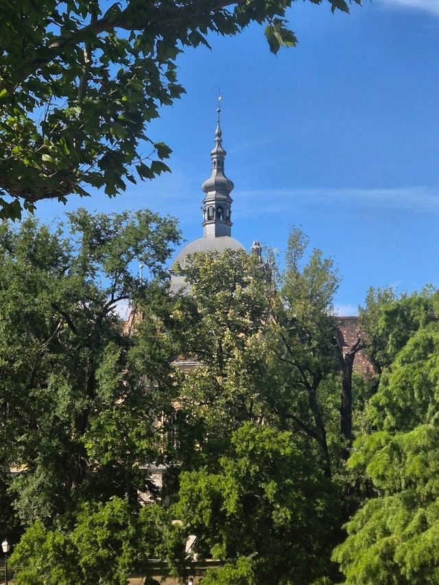 헝가리 부다페스트 여행 : 자유로운 city park 🇭🇺