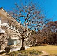 Impeccable Gardens and Architectural Harmony