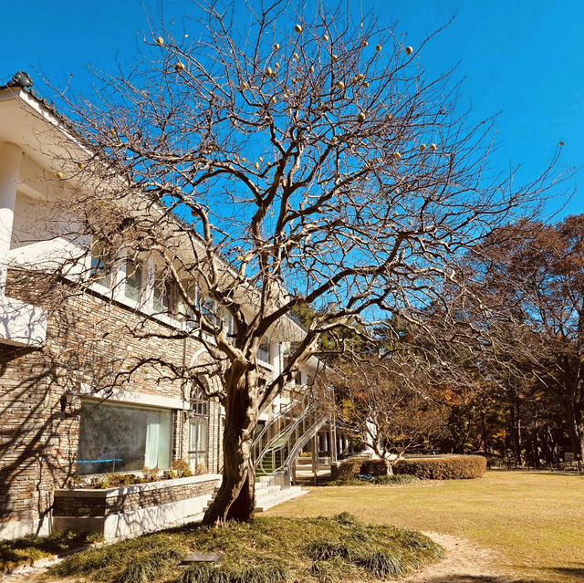 Impeccable Gardens and Architectural Harmony Impeccable Gardens and Architectural Harmony