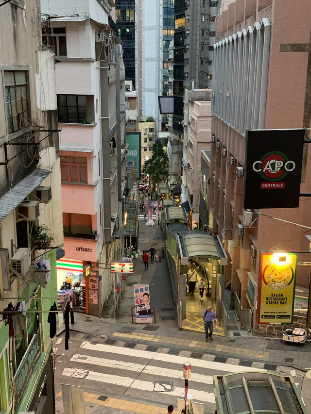 겨울 홍콩 여행 코스 추천