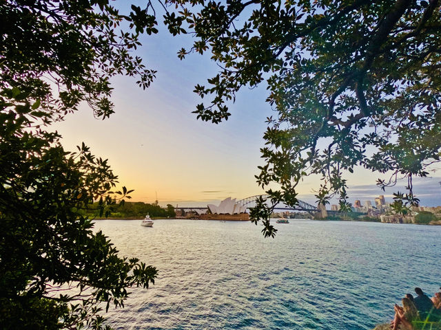 Sydney’s famous landmark view from  Mrs Macquaire’s chair 🇦🇺🌅