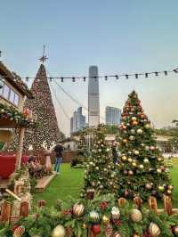 Where the Harbor Wears a Crown of Light